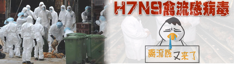 H7N9禽流感病毒防護方案